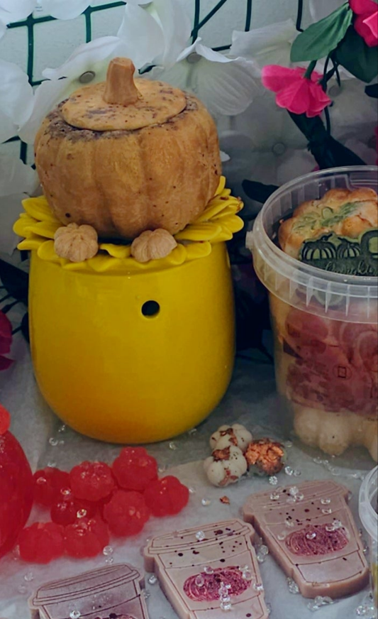 Autumn festival prize pumpkin